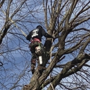 Shiers Family Tree Care Service - Arborists