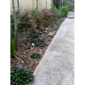 Gallery Image Number 2