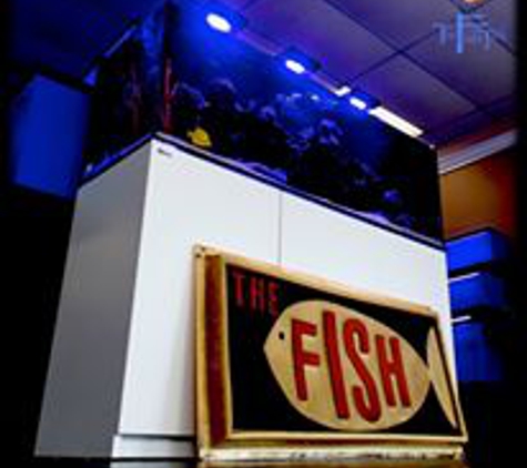 THE FISH TANK - Daytona Beach, FL