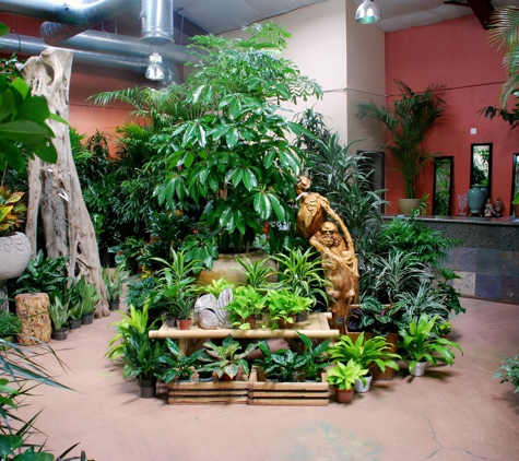 Exotic Plants Ltd. - Sacramento, CA