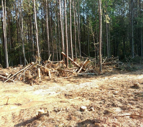 Barber's Bobcat & Clean Up Service - Newnan, GA. BEFORE