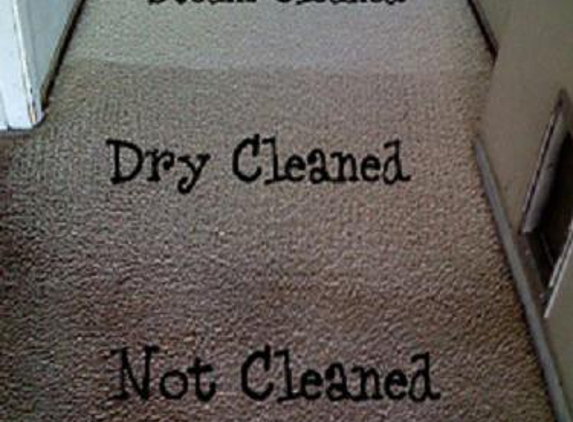 DMS Carpet & Upholstery Cleaners - Trumbull, CT