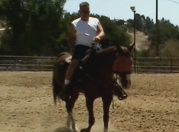 Discover Essential Horsemanship - Moorpark, CA