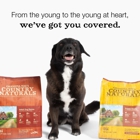 Animal House Retail for Rescue