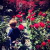 Carlmont Nursery - CLOSED gallery
