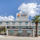 Comfort Suites San Antonio Airport North - Motels