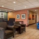 Comfort Inn & Suites Lumberton Central I-95 - Motels