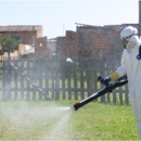 Pest Control Services - Pest Control Services