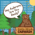 Papa Bear Car Wash