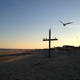 Ocean Grove Beaches