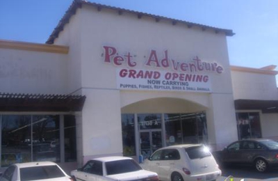 Pep Boys Auto Parts Service 11130 Balboa Blvd Granada Hills Ca