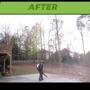 Meridian Tree Service Atl