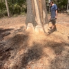 Stump Grinding Services gallery
