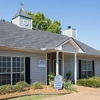 Cottonwood gallery