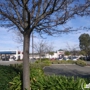 AutoTECH San Ramon