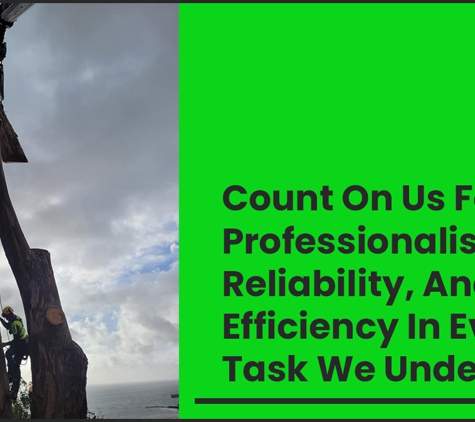 E&T Tree Services And Stump Grinding - Penguin, TAS. Count On Us For Professionalism, Reliability, And Efficiency In Every Task We Undertake