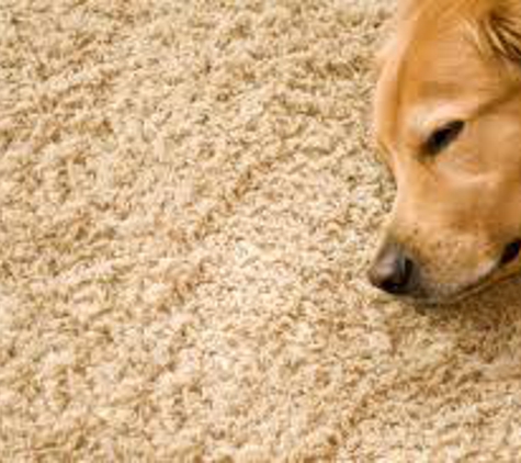 Ocean Carpet Cleaning - Santa Monica, CA