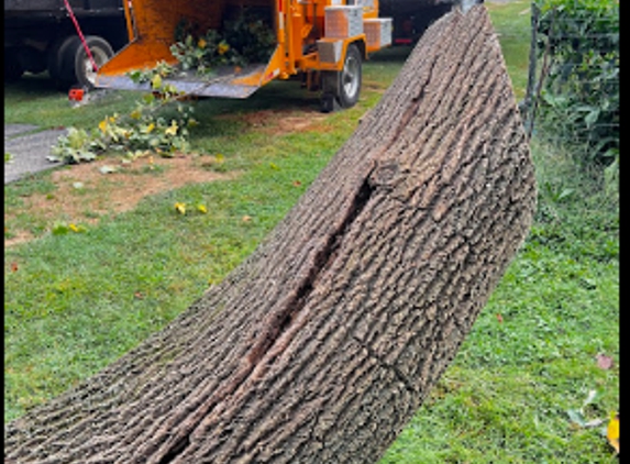 PA Triple A Tree Service - Feasterville-Trevose, PA