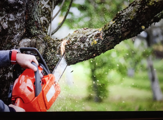 Landscaping & Tree Service