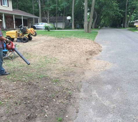 Gardner Stump Removal - Auburn Hills, MI