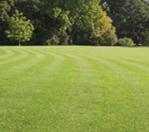 Meier's Landscaping & Lawn Service - Hammond, IN