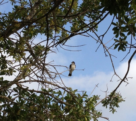 Galveston Island State Park - Galveston, TX