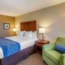 Hampton Inn by Hilton - Hotels