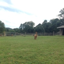 Faraway Farm Alpacas - Farms