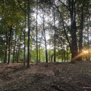 Iron Wolf Land Management - Tree Service