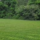 All Year Lawn & Landscape - Swimming Pool Repair & Service