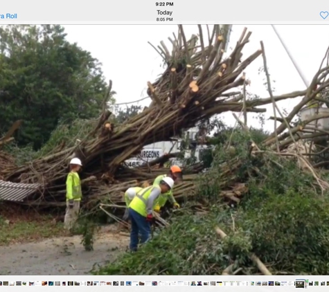 Tri-Brothers Tree & Landscaping - Port Saint Lucie, FL