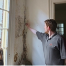 North Star Environmentals - Mold Remediation