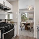 Parke Laurel Apartment Homes - Apartments
