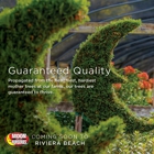 Moon Valley Nurseries