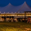 Under the Stars Farm gallery
