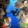 Northeast Scuba gallery