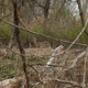 Tifft Nature Preserve