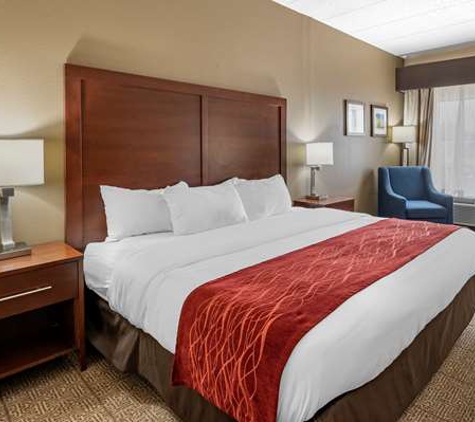 Comfort Inn - Lexington, KY