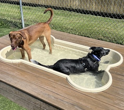 Furkidz Pet Hotel Spa & Daycamp - Paducah, KY. water fun