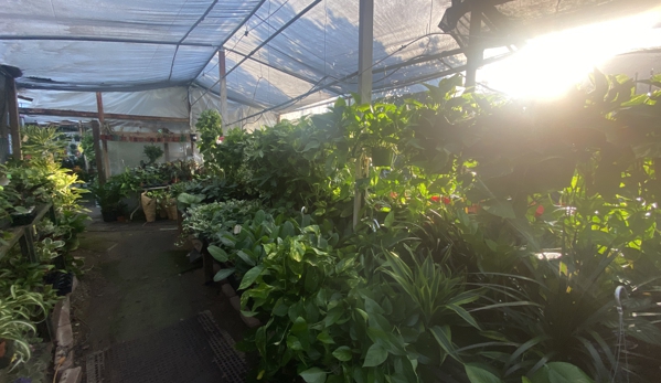Nelson's Greenhouse - West Hills, CA