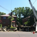 Nature Tree Service - Tree Service