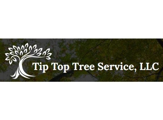 Tip Top Tree Service - Hudson, NH