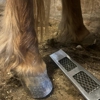 Morrison's Hoof Care gallery