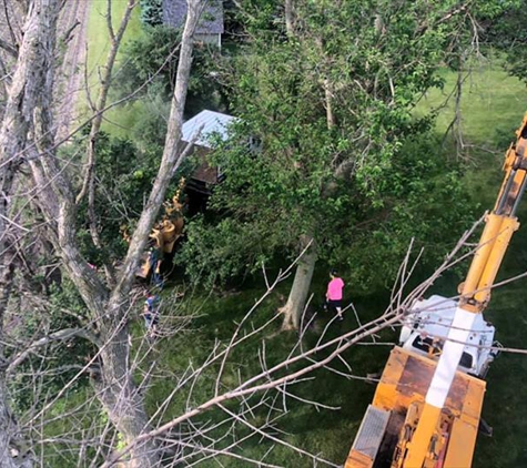 Good Paster Trees Service - Webster City, IA