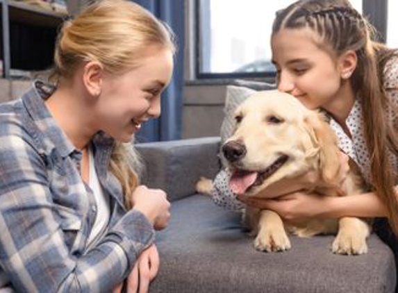 Furever Friends Play and Stay - Honolulu, HI