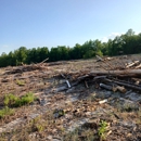 M&N Bobcat Services