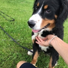 Pet Stop of WNY