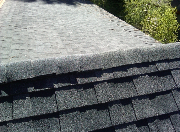 Matt's Handyman Service - Mccall, ID. Patio Roof Repair