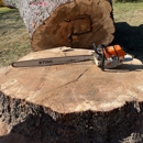 Tim's Tree Service - Stump Removal & Grinding