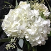 Flowers by Cammy Florist & Flower Delivery gallery